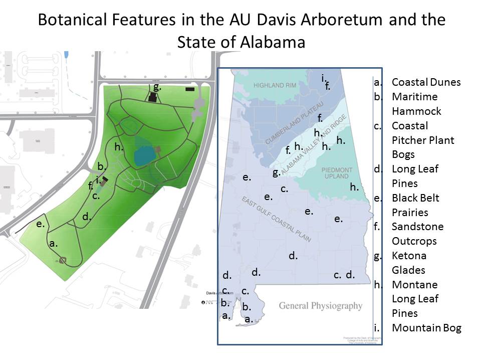 map of alabama arboretum