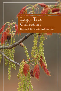 tree brochure