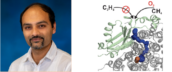 chemistry-banerjee-research.png