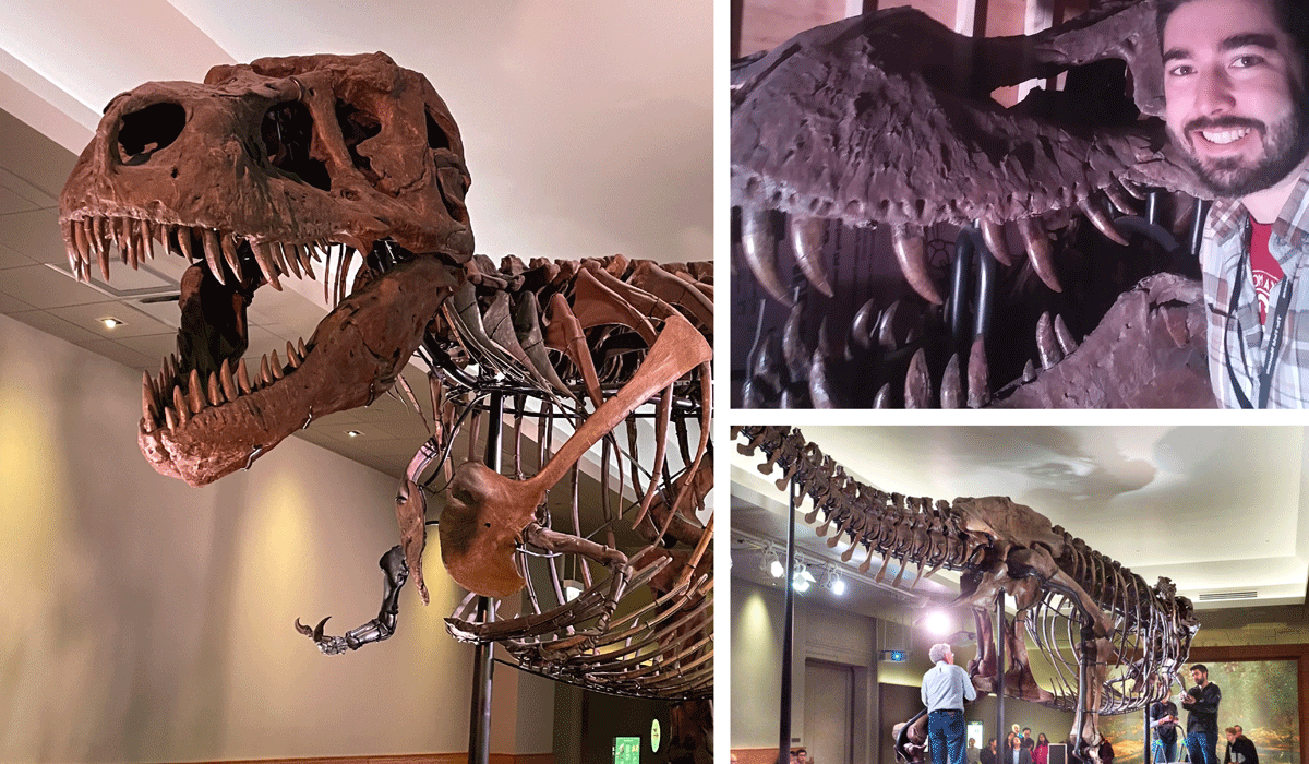 Thomas Cullen Dinosaur Article - Featured Photos