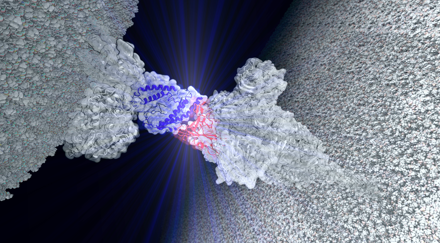 Auburn biophysicist uses one of the fastest computers in the South in the fight against COVID-19.