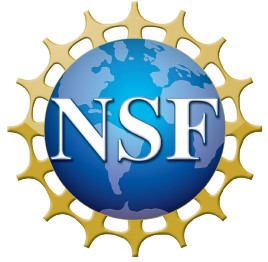 Image of the NSF Logo