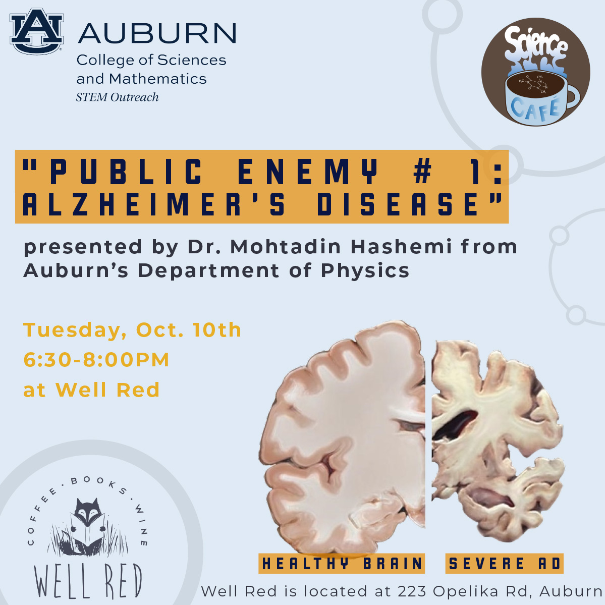 public_enemy__1_alzheimers_disease_1.jpg