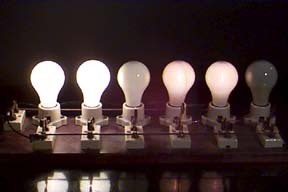 img_04705bulb.jpg