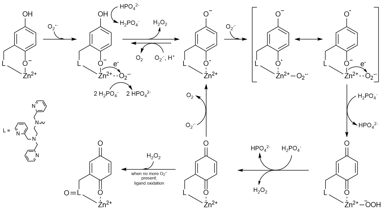 figure_4.jpg