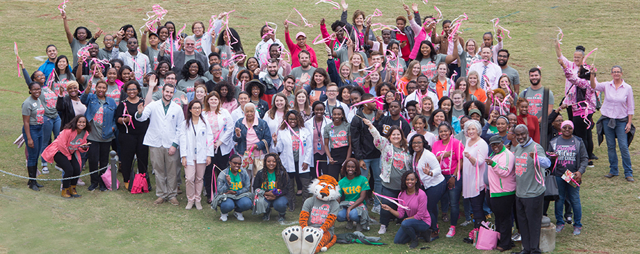 All In, All Pink group photo