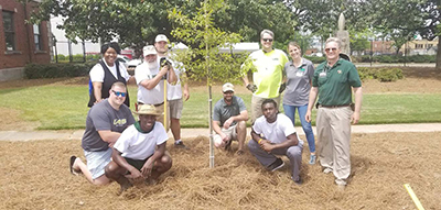 A tree planted this season on UAB’s campus.