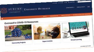 Screenshot of website