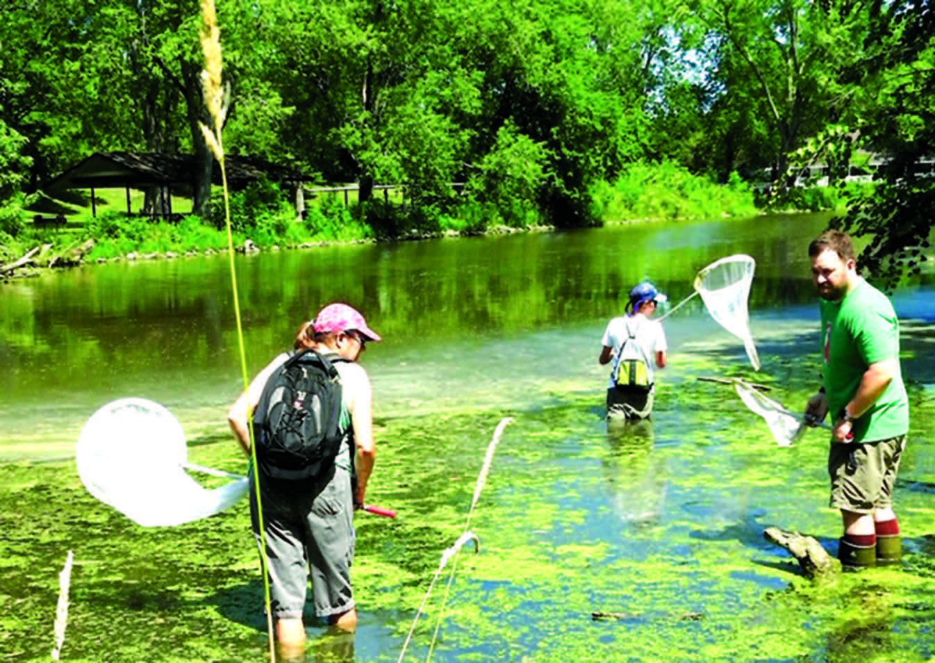 Three people wade in water with nets