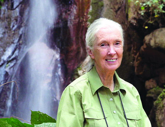 Dr. Jane Goodall